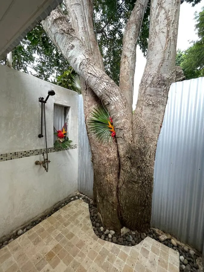 Bak A Yaad Villa Negril Lodge