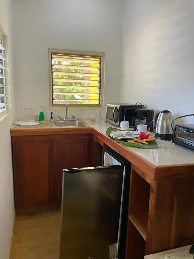 Bak A Yaad Villa Negril Lodge