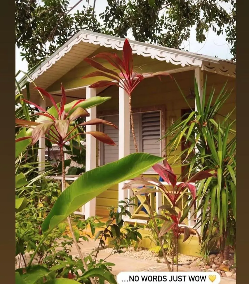 Lodge Bak A Yaad Villa Negril