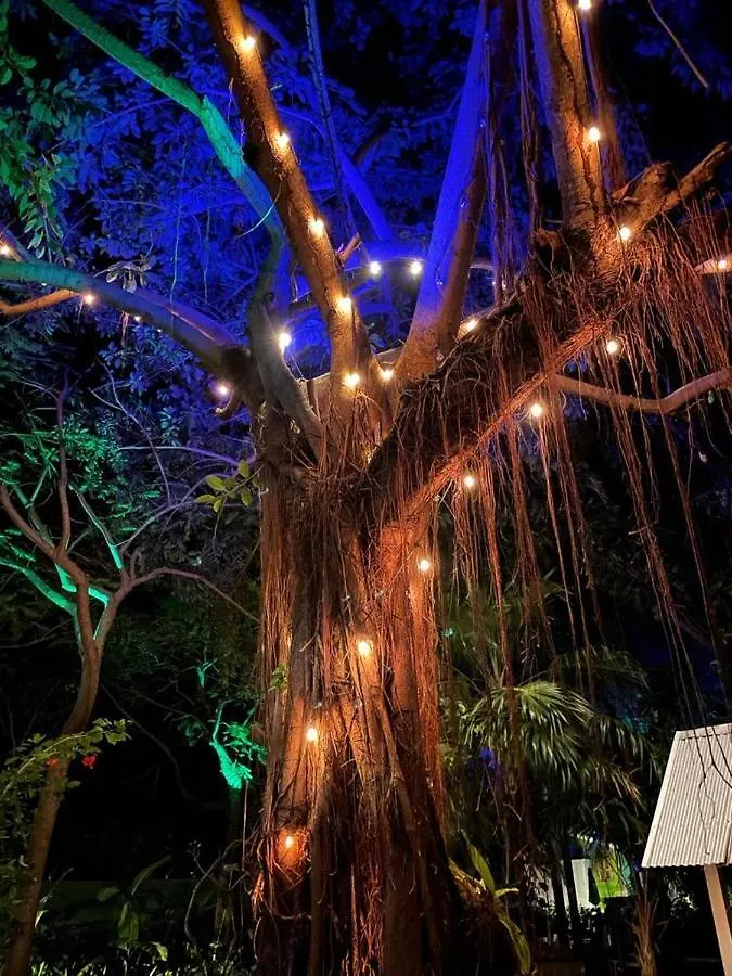 Villa Bak A Yaad à Negril 0*,