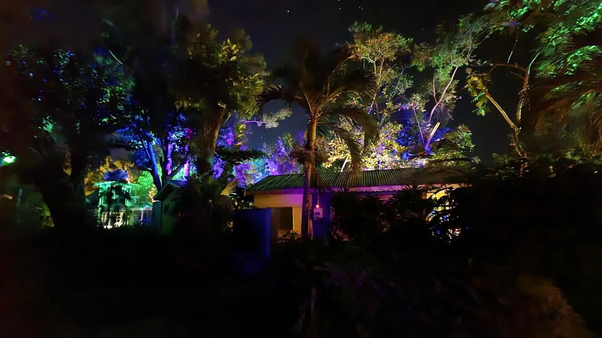 Bak A Yaad Villa Negril Jamaica